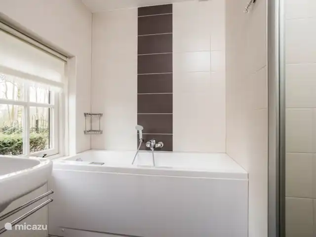 Badkamer met wirlpool, inloopdouche en wastafel.